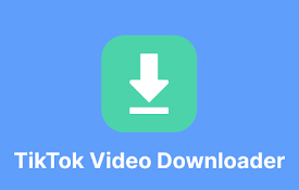 TikTok 视频下载器  | TikTok Video Downloader