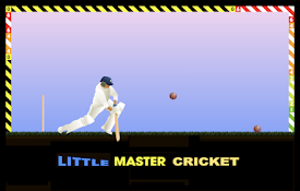 Little Master Cricket