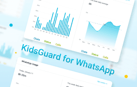 Whatsapp Service