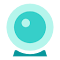 Plugin Icon