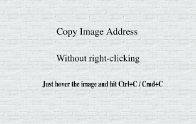 Copy Image URL