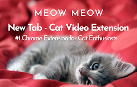 Meow Meow Woof