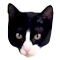 Plugin Icon