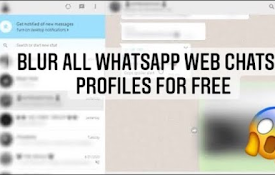WA Blur: 通过模糊隐藏 Whatsapp™ 聊天