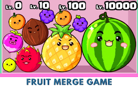 Fruit Merge