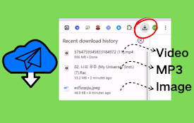 TG Content Downloader - Telegram Downloader,Telegram 图片视频下载器