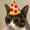 Wandering Cat