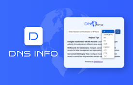 DNS Info: Free DNS Lookup