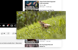 Picture-in-Picture Shortcut