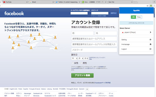 Plugin Screenshot