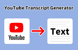 YouTube 转录生成器