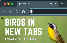 BirdTab - Discover Bird Pictures &amp; Songs in New Tabs