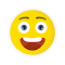 Plugin Icon