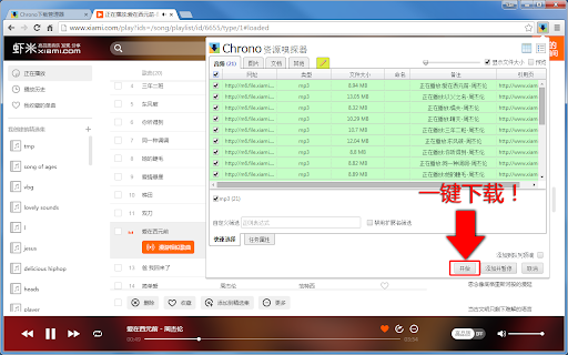 Plugin Screenshot