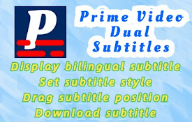 Prime Video 双字幕 - 字幕翻译器