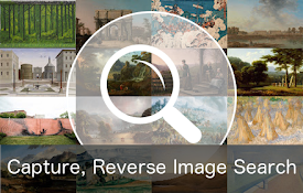 Reverse Image Search
