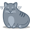 Cat facts