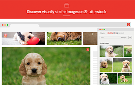Shutterstock Reveal