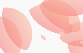 Sakura rain