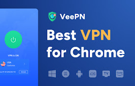 适用于 Chrome 的免费 VPN - VPN 代理 VeePN