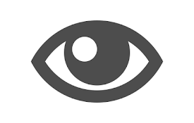 Password Toggler - view typed passwords