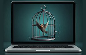 Website Unblocker