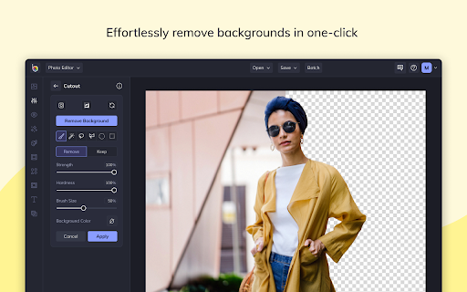 Plugin Screenshot