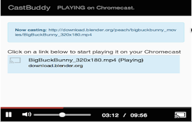 CastBuddy