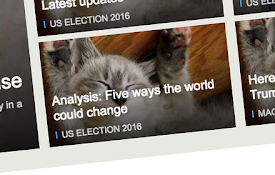 Trump Kittens