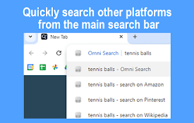 Omni Search