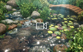 Koi Pond Bridge Live Wallpaper