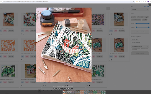 Plugin Screenshot