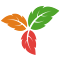 Trilium Web Clipper
