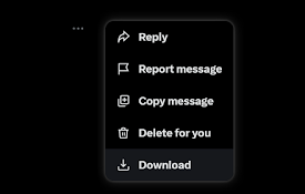 X/Twitter DM Downloader