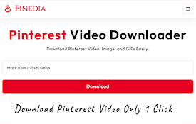 Download Pinterest Videos - Pinedia