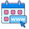 Domain Age Checker