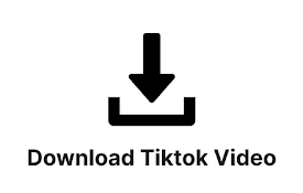 Download TikTok Video | 下载 Tiktok 视频