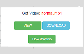 VidGrabber
