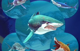 SharkIO