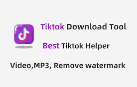 TikTok下载器|视频、MP3下载，去除水印