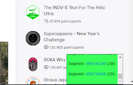 Nega Strava Tools