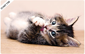 Cats and Kittens New Tab Extension
