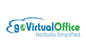 NetSuite Query Tool