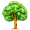 Tree History