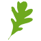 leaf browser