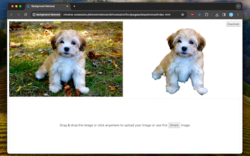 Plugin Screenshot