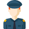 Plugin Icon