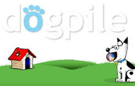 Dogpile Private Search