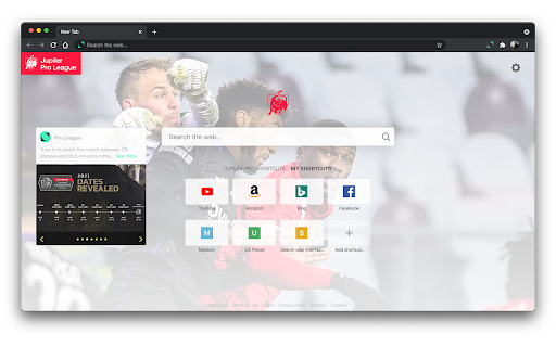 Plugin Screenshot