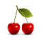 Plugin Icon